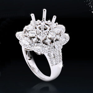 星河之冕 (Crown of the Galaxy)